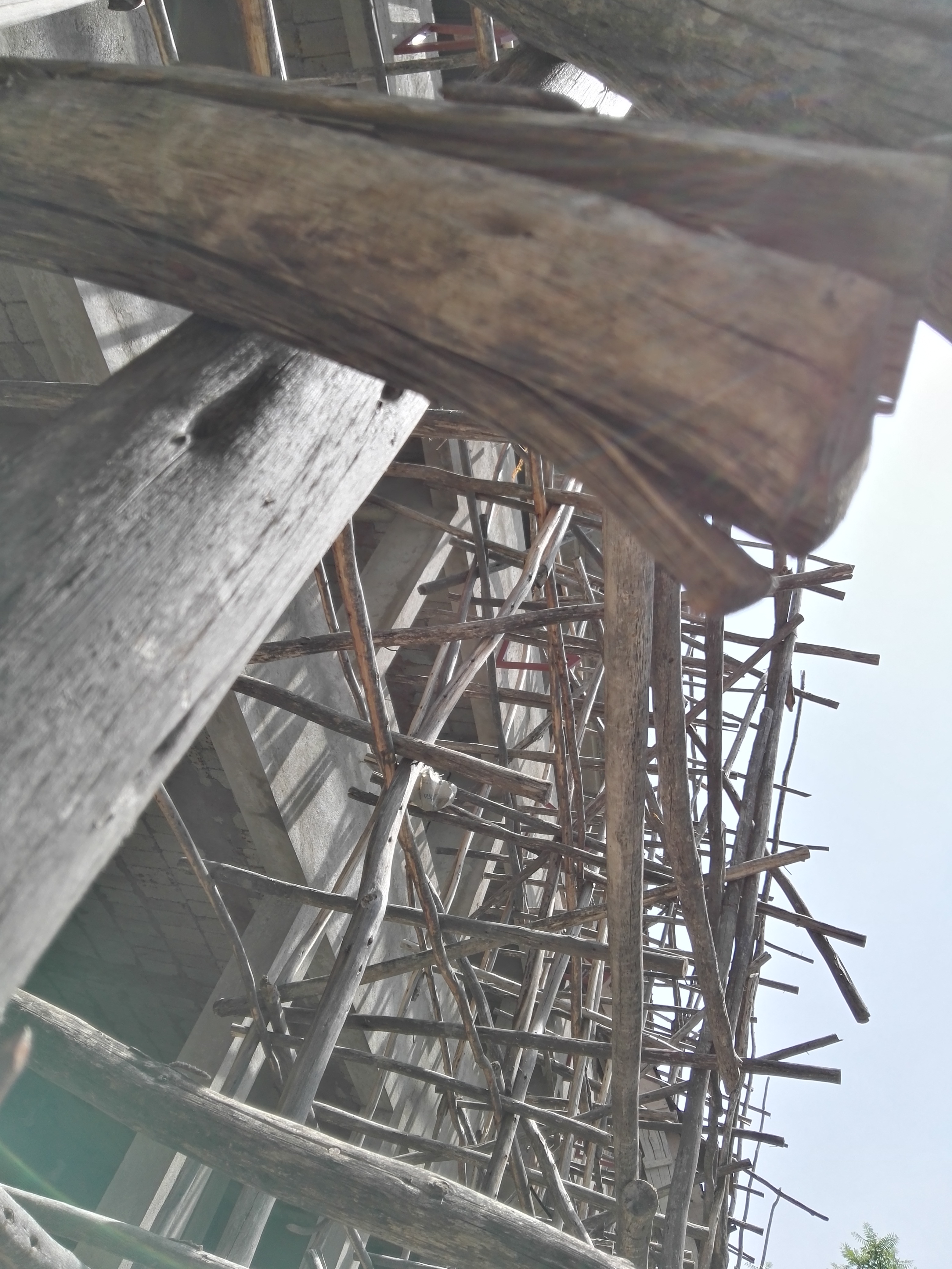 IMG_20160605514149604_120231 